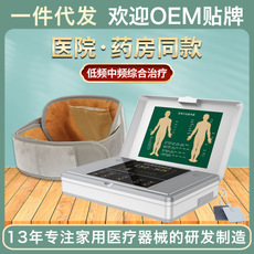 产地货源低中频治疗仪电脑多功能脉冲电疗仪腰背经络中频理疗仪
